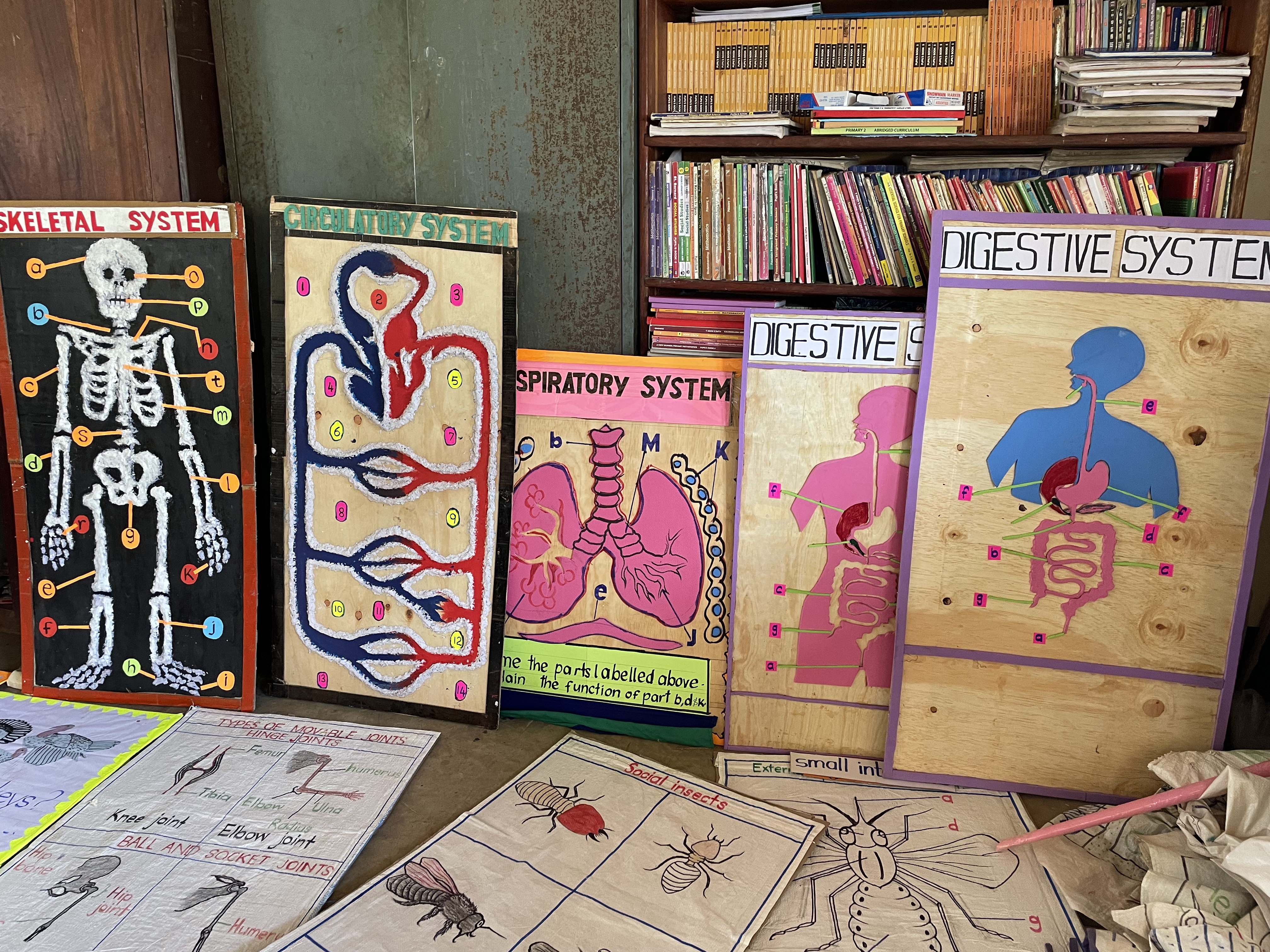 Low-cost tools, high impact: Sustaining learning through play through ...