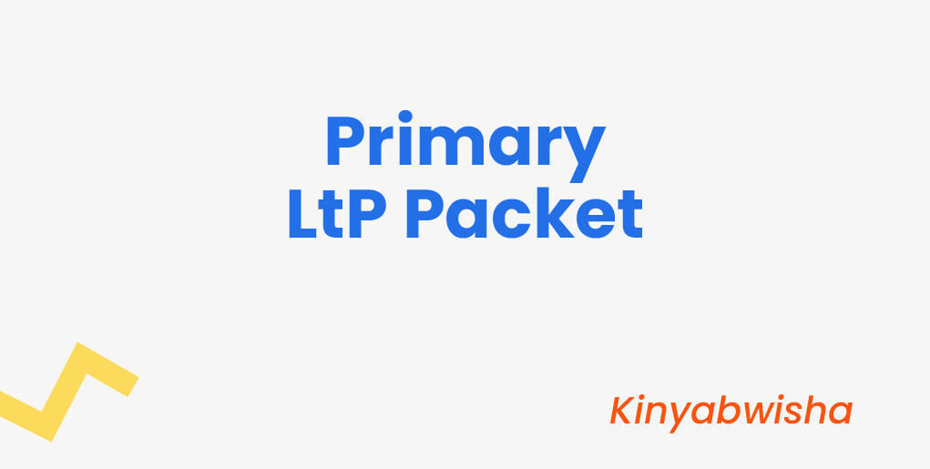 Primary LtP Packet - Kinyabwisha