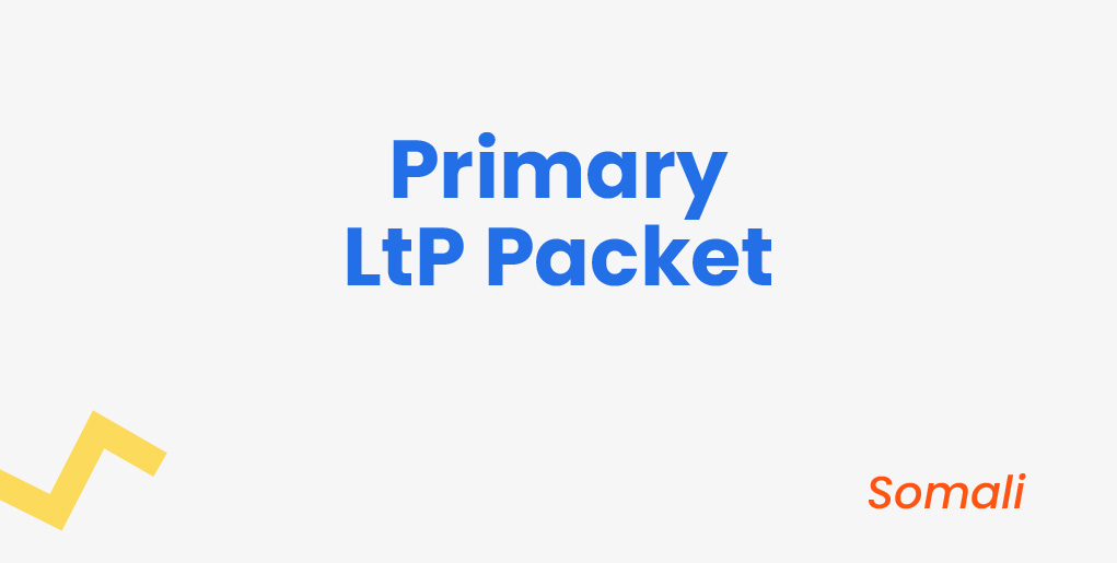 Primary LtP Packet - Somali