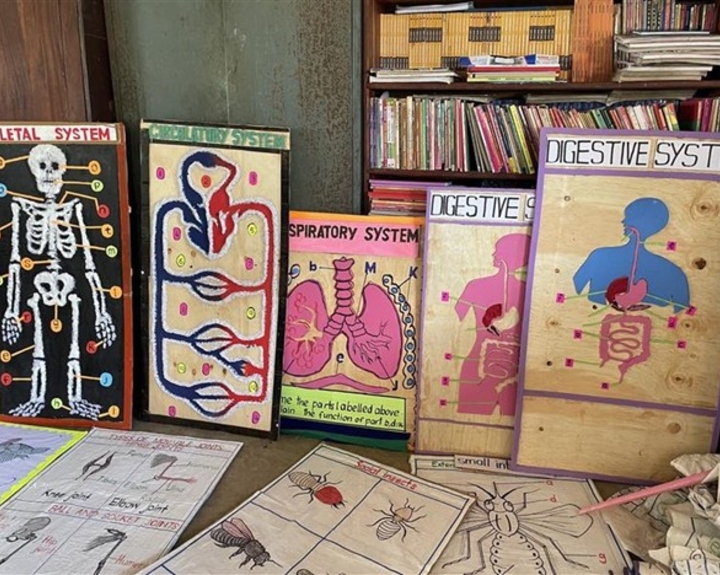 Handcrafted teaching aids illustrating the human body systems displayed in a classroom setting, supporting interactive and visual learning